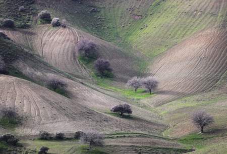 بَهارِ زمستانی فارس  <img src="https://cdn.baharnews.ir/images/picture_icon.gif" width="16" height="13" border="0" align="top">