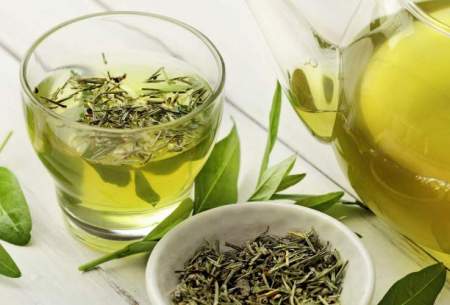 معجزه چای سبز؛به جای آنتی بیوتیک چای بنوشید