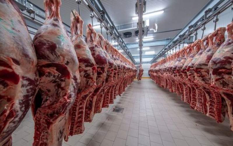 افزایش قیمت گوشت مهندسی‌شده بود