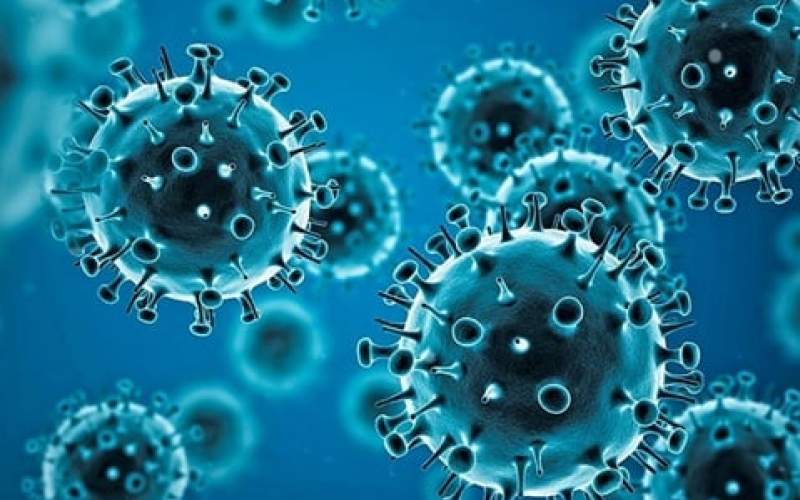 داده‌های جدید در مورد منشأ ویروس کرونا