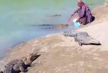 تیمارِ پدرانه تمساح توسط مردِ بلوچ پربازدید شد