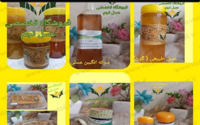 قیمت عسل طبیعی با موم در مشهد و سراسر کشور چقدر است؟