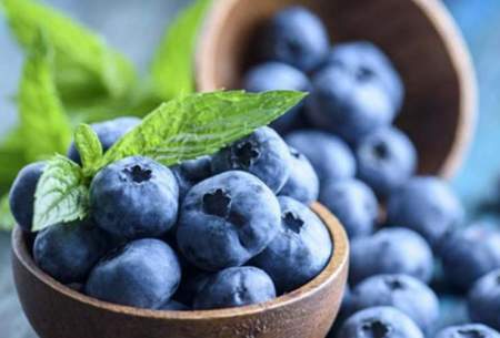 بلوبری؛ سالم‌ترین و مفید‌ترین میوه برای بدن