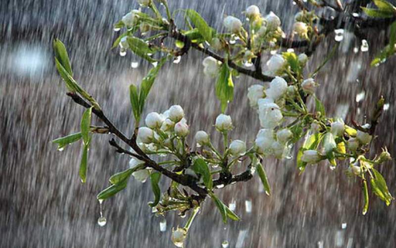 تشدید بارش در ۲۱ استان؛احتمال آبگرفتگی معابر