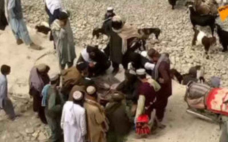 تصاویر جنجالی از تجارت طالبان با تریاک! /فیلم