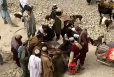 تصاویر جنجالی از تجارت طالبان با تریاک! /فیلم