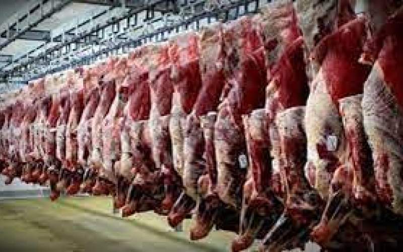 زنگ خطر بازار گوشت قرمز به صدا در آمد