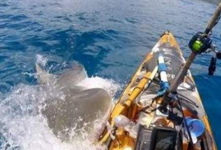 لحظه حمله کوسه به قایق در سواحل هاوایی