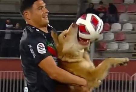 سگ بازیگوش یک مسابقه فوتبال را مختل کرد