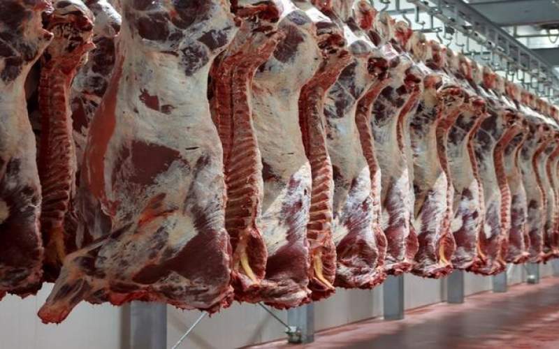 قیمت روز گوشت قرمز در ۷ خرداد ۱۴۰۲/جدول