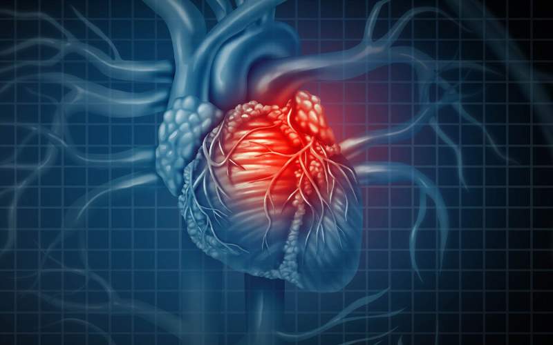 فشار خون؛ معضلی برای نارسایی‌ قلبی در کلینیک تخصصی قلب و فشار تپش