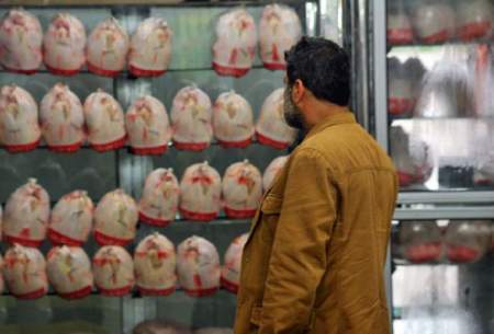 چرایی افزایش قیمت مرغ به کیلویی ۱۰۰ هزار تومان