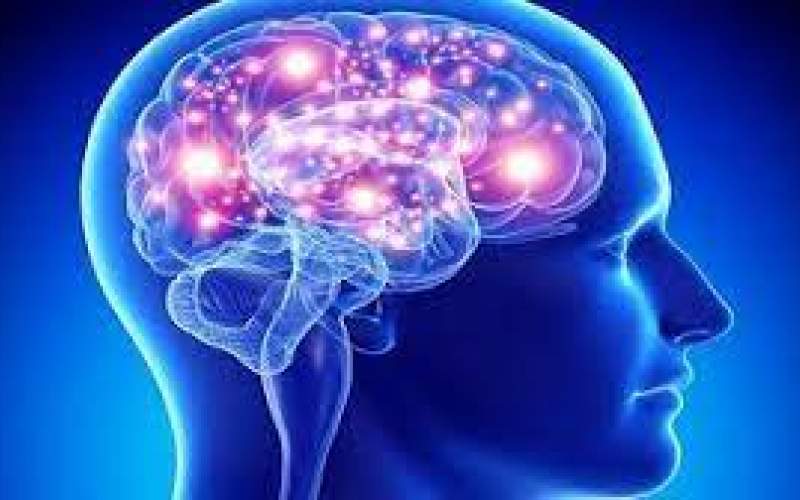 عواملی که مغز را کوچک می‌کند را بشناسید