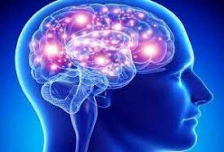 عواملی که مغز را کوچک می‌کند را بشناسید
