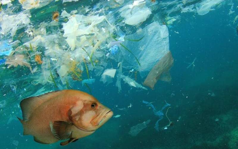 ۶۰۰ میلیارد دلار هزینه آلودگی پلاستیکی بشر