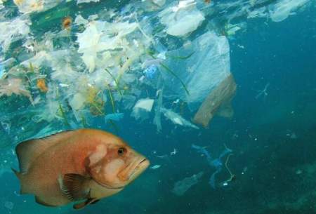 ۶۰۰ میلیارد دلار هزینه آلودگی پلاستیکی بشر