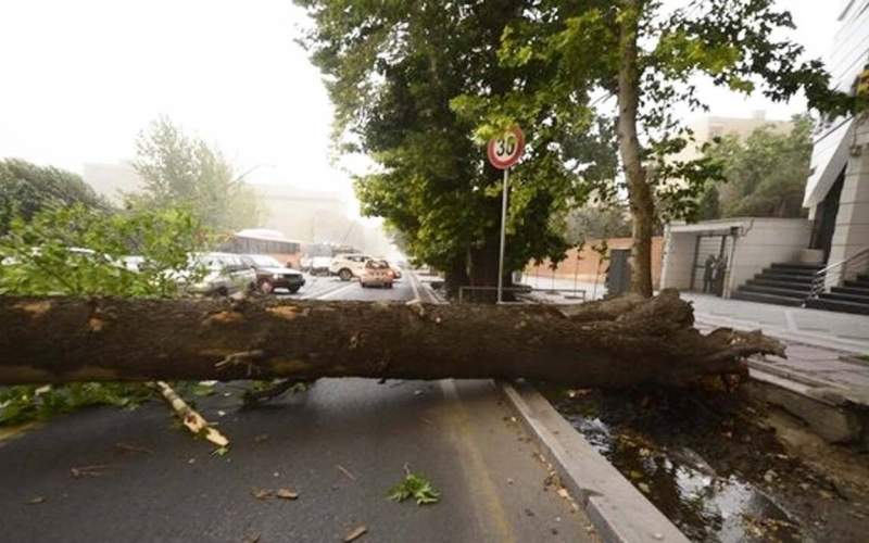 مصدومیت ۵۳ نفر در حوادث جوی روز گذشته