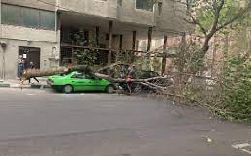 آسیب جدی طوفان به ۵۰۰ خودرو در تهران