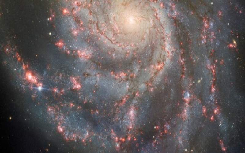 درخشش یک ابرنواختر در دل «کهکشان فرفره»