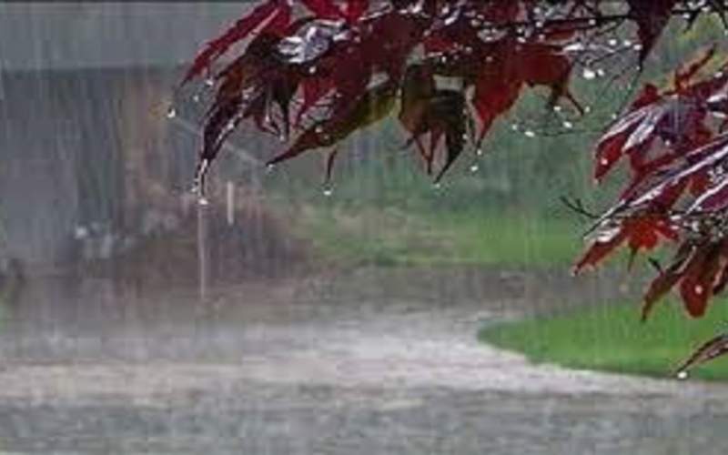 بارش استان تهران ۴۰ درصد کمتر از نرمال است