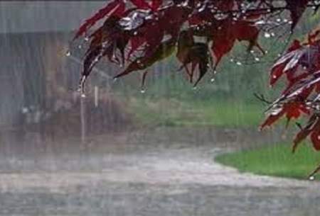 بارش استان تهران ۴۰ درصد کمتر از نرمال است