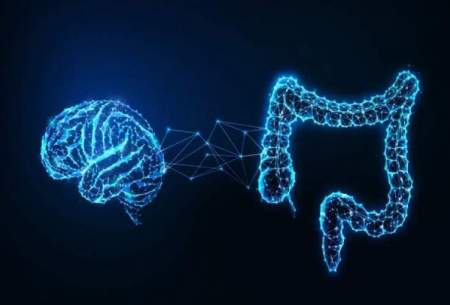 پیشرفت بزرگ دانشمندان در درک رابطه مغز و روده