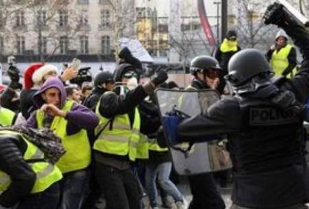 تعقیب‌وگریز یک گورخر در خیابان‌‌های فرانسه/فیلم