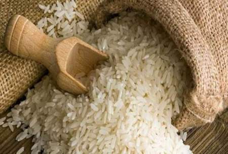 واردات برنج تا اطلاع ثانوی ممنوع شد
