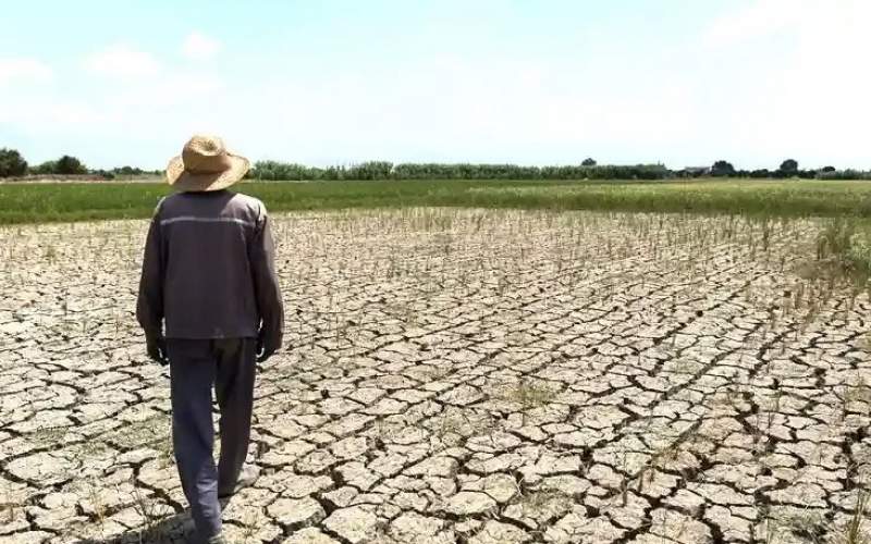 تشدید بحران آب با ممنوعیت واردات برنج
