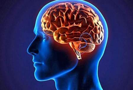 خاطرات جدید چگونه در مغز انسان ثبت می‌شود؟