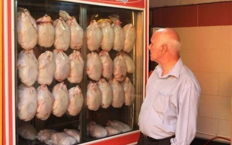 قیمت مرغ در دولت رئیسی ۴ برابر شد