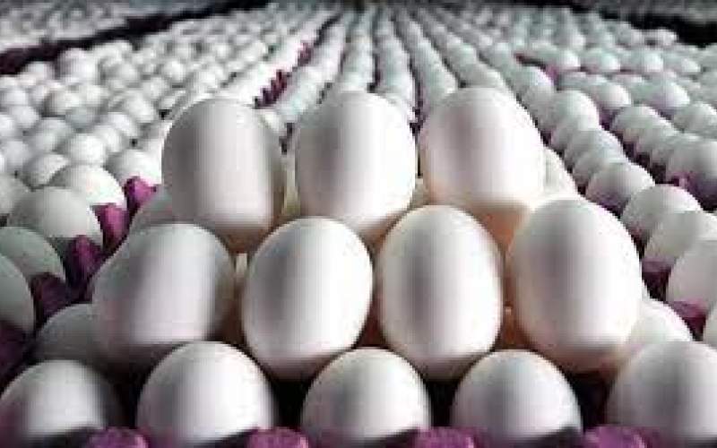 هر شانه تخم مرغ ۳۰ عددی در بازار چند؟