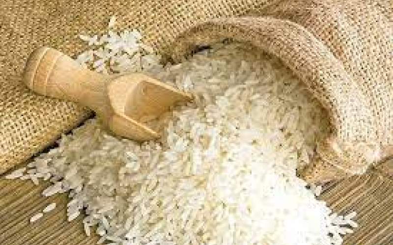 ممنوعیت فصلی واردات برنج پابرجا است