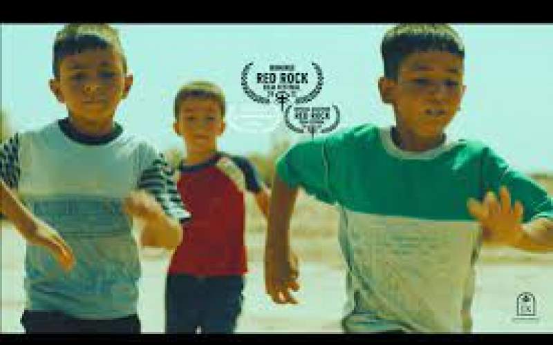 نامزدی بهترین فیلمبرداری جشنواره آمریکایی برای «حریم»