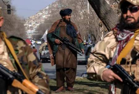 نفوذ القاعده در ساختار دولت طالبان