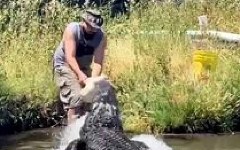 نجات باورنکردنی کارمند پارک از دست تمساح
