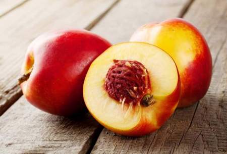فواید و خواص درمانی میوه تابستانی شلیل