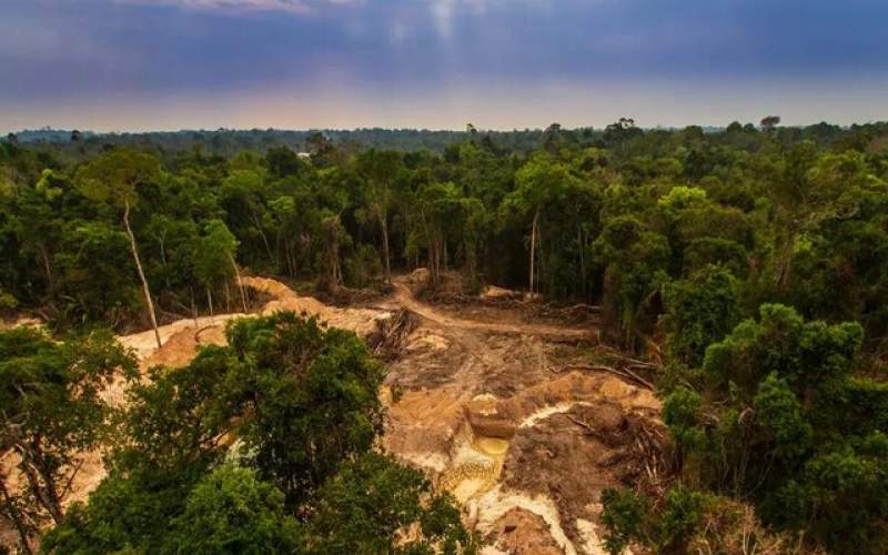 ناسا به دنبال نجات دادن جنگل‌های آمازون