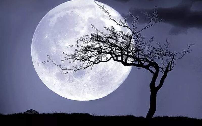 امشب، «ابر ماه ماهی خاویاری» را رویت کنید