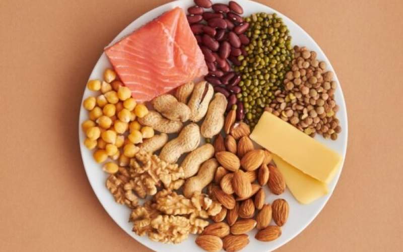 مصرف پروتئین عمر را زیاد می‌کند