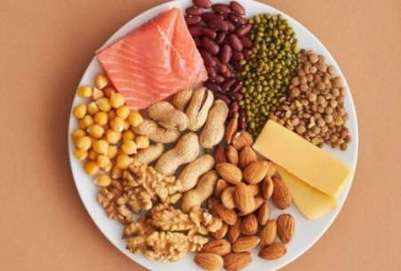 مصرف پروتئین عمر را زیاد می‌کند