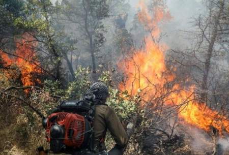 ۳۰۰هکتار از جنگل‌های مریوان در محاصره آتش