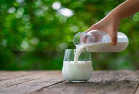 شیر کم چرب یا شیر کامل، کدام یک بهتر است؟