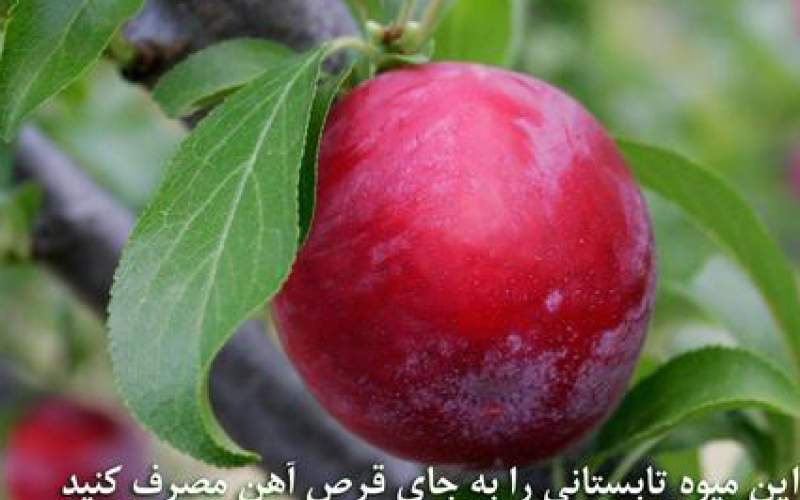 این میوه تابستانی را جایگزین قرص آهن کنید