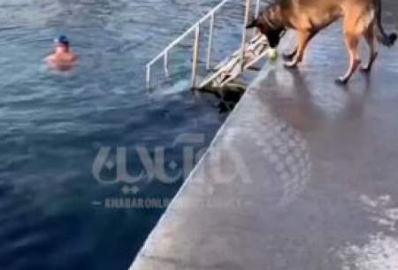 تمرین عجیب یک سگ در لب دریا برای شکار توپ
