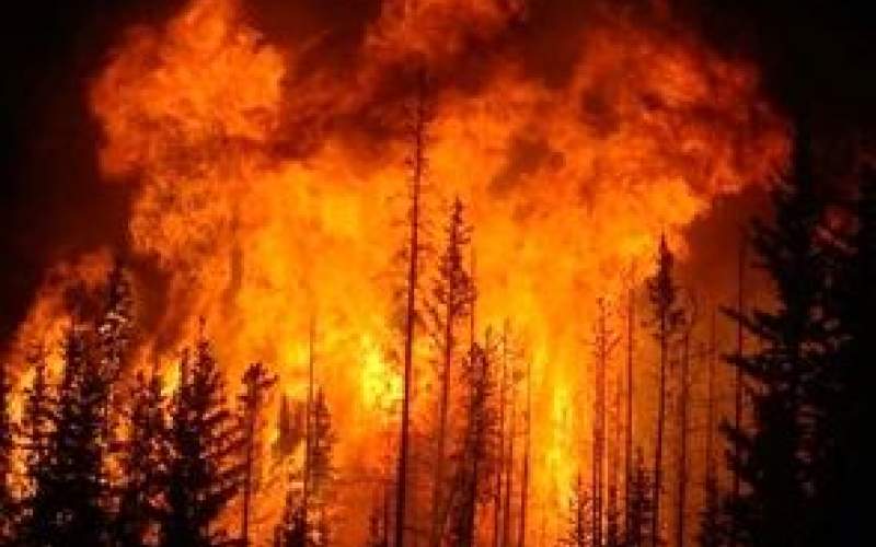 ویدئو آخرالزمانی از آتش‌سوزی جنگل‌های هاوایی