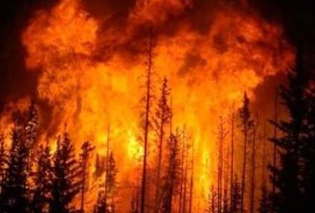 ویدئو آخرالزمانی از آتش‌سوزی جنگل‌های هاوایی