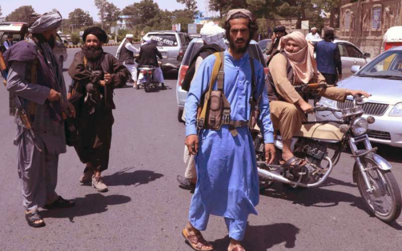 طالبان عقل درستی ندارد