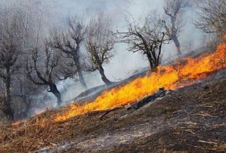 وقوع آتش‌سوزی گسترده در مراتع کرمانشاه