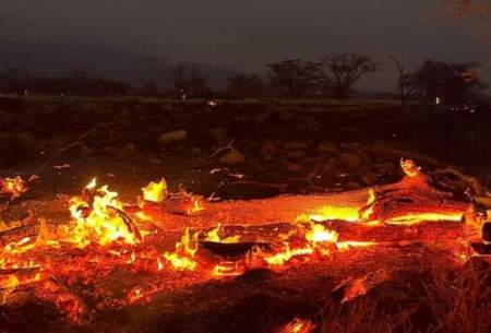 وضعیت آتش سوزی در جنگل‌های غرب کشور